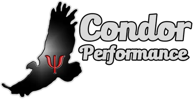 Condor Performance