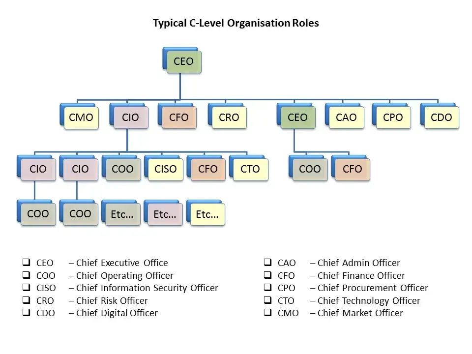 An organizational chart showing typical C-level roles, including a CMO defined as Chief Market Officer.