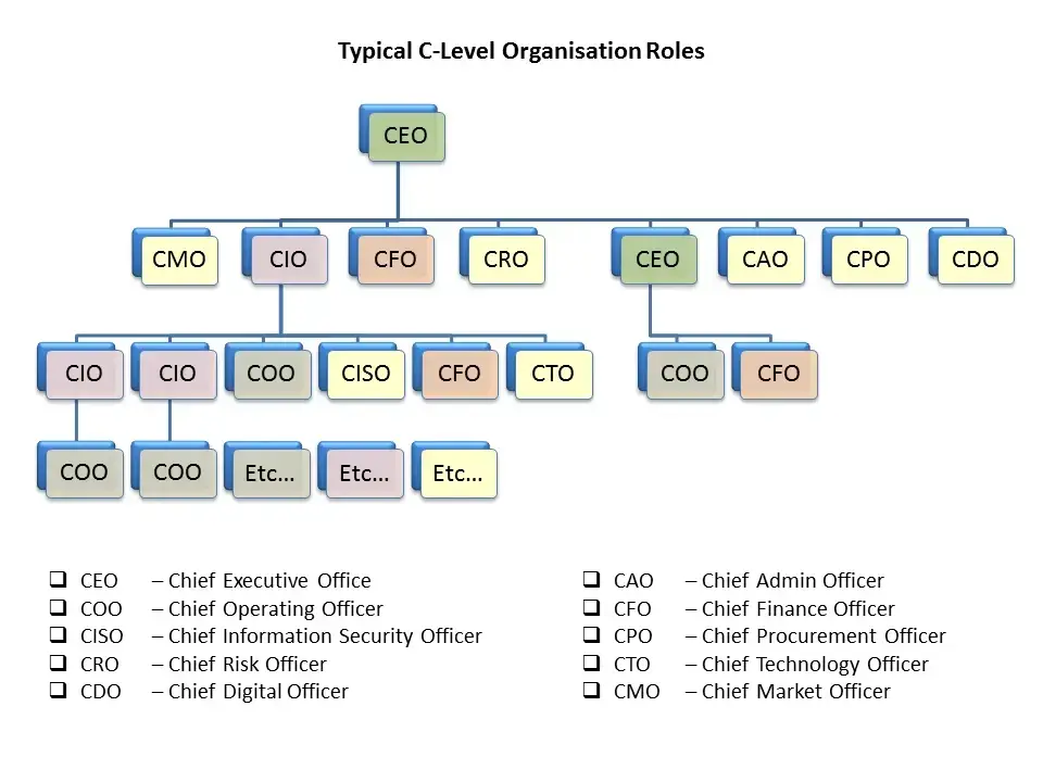 types of c level roles that executive leadership is taking on. modern job titles for